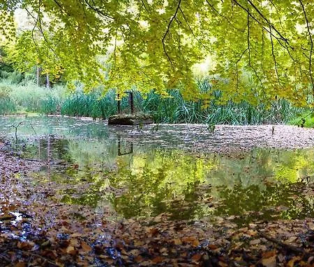 Gasthuis Zora Bardejovské Kúpele