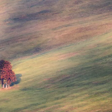 Zora Bardejovské Kúpele