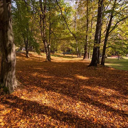 Zora 4* Bardejovské Kúpele